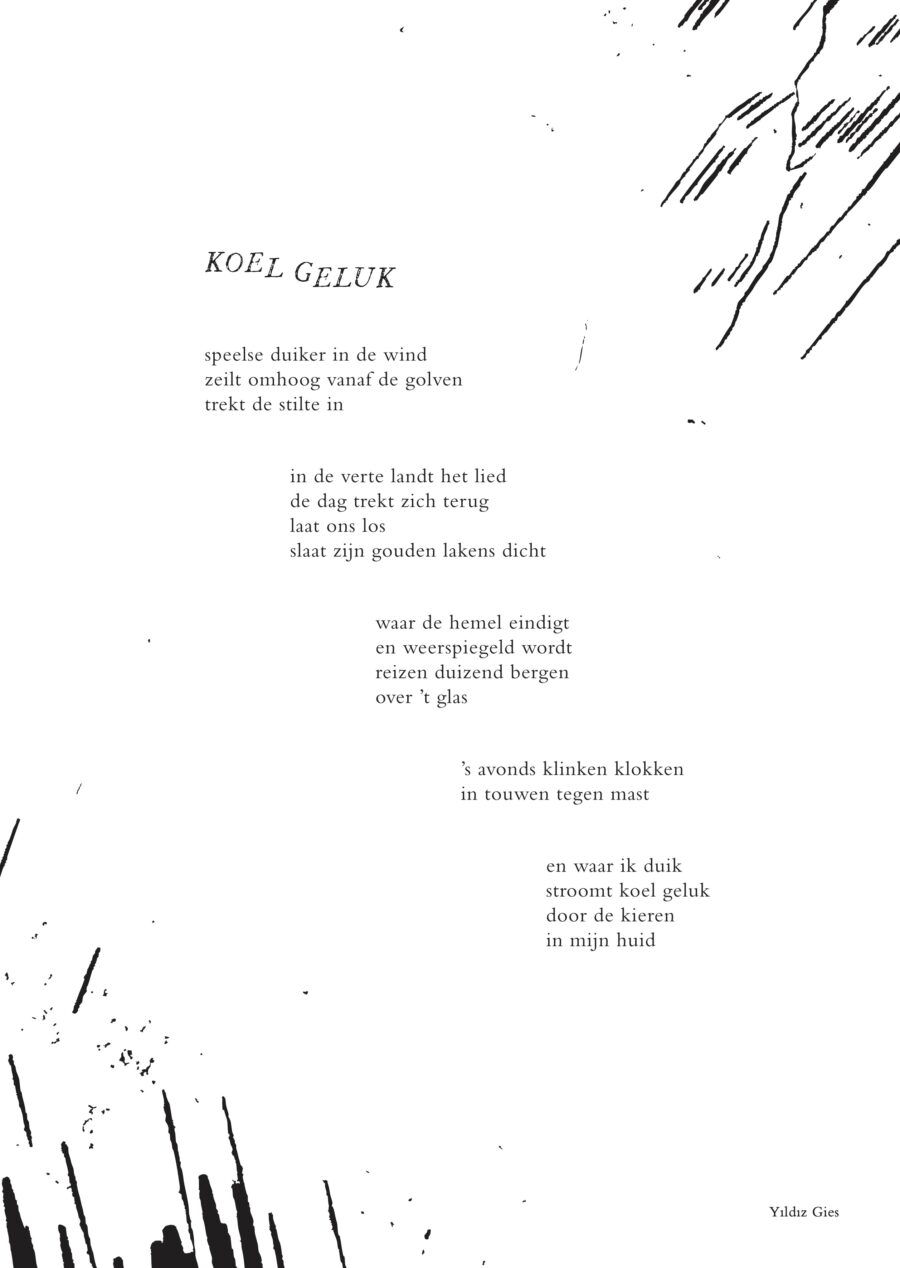 Poster 'Koel geluk' - Afbeelding 2